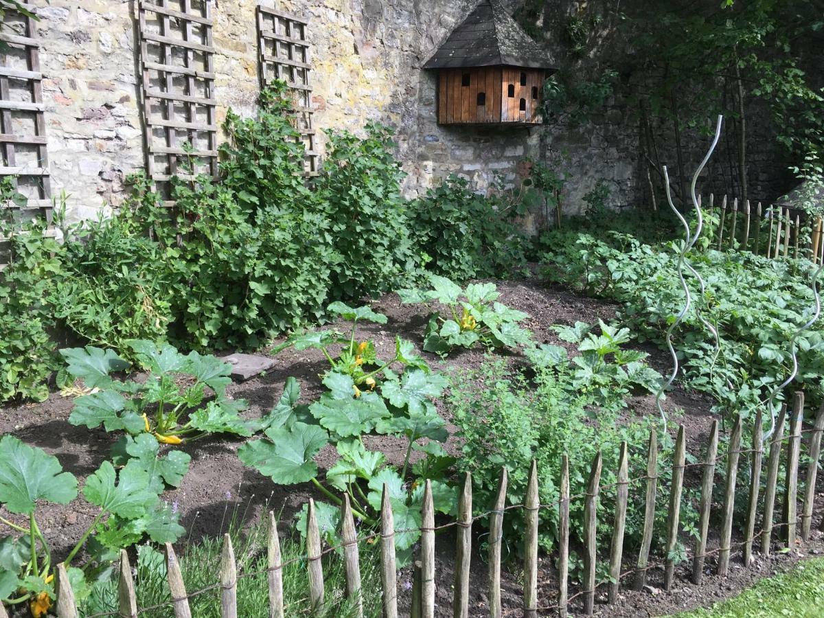 D'hotes Les Augustins - Parking Securise - Borne De Recharge Bed & Breakfast Huy